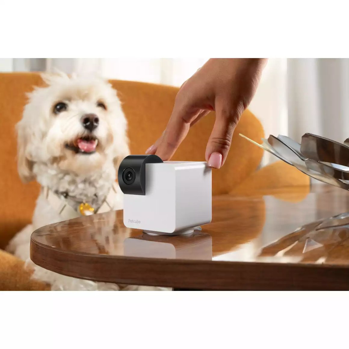 Petcube Cam 360 - mynd 5
