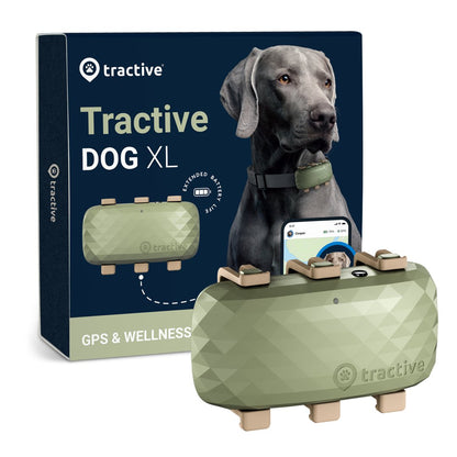 Tractive GPS XL Stðsetningartaki fyrir hunda
