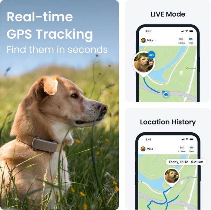 Tractive GPS brúnt - mynd 2