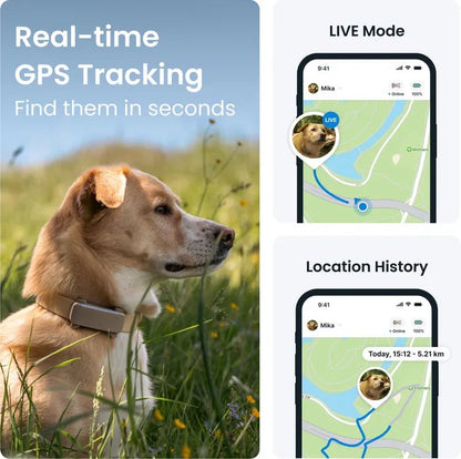 Tractive GPS brúnt - mynd 2
