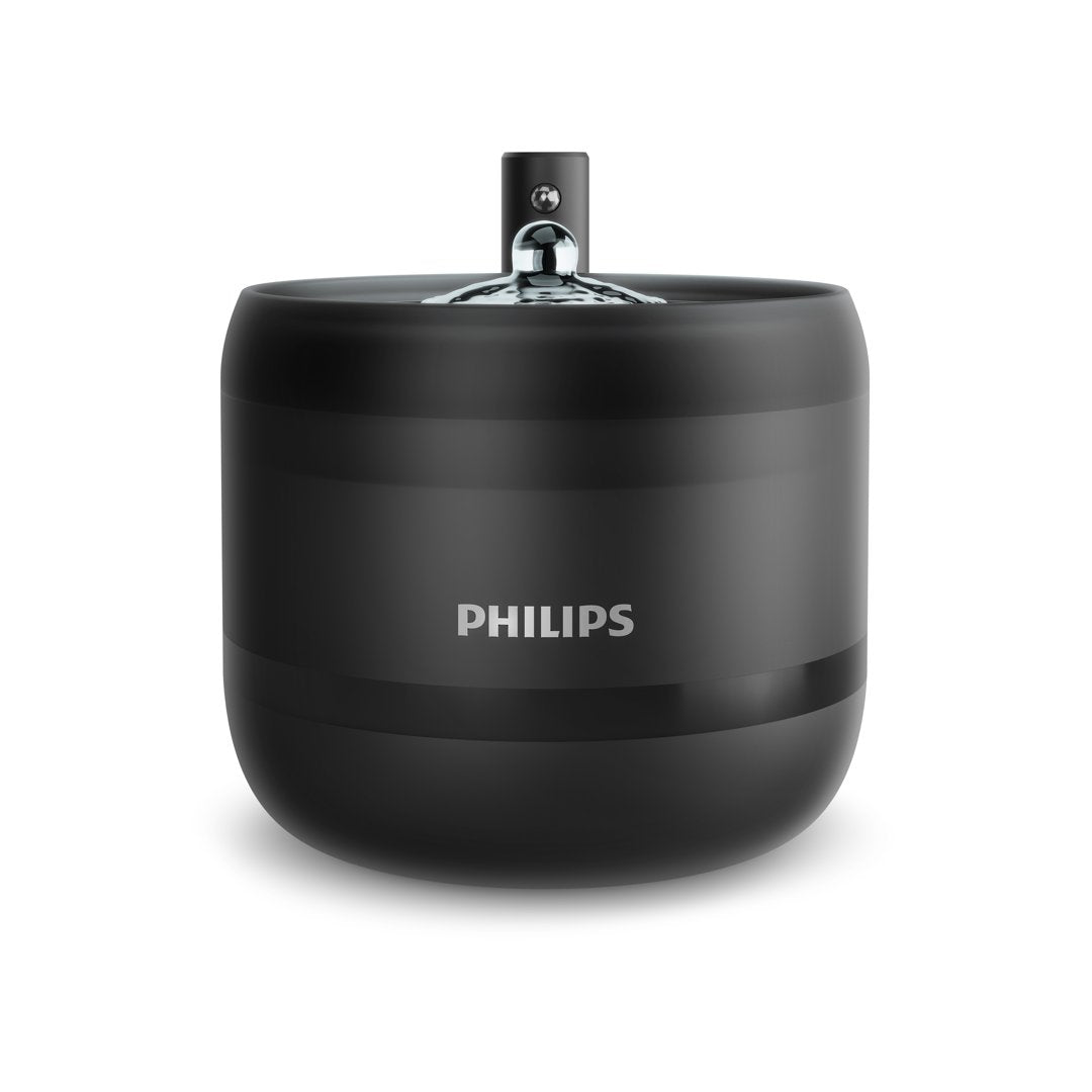 Philips vatnsbrunnur - mynd 2