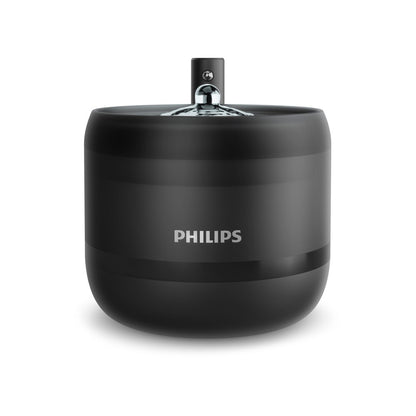 Philips vatnsbrunnur - mynd 2