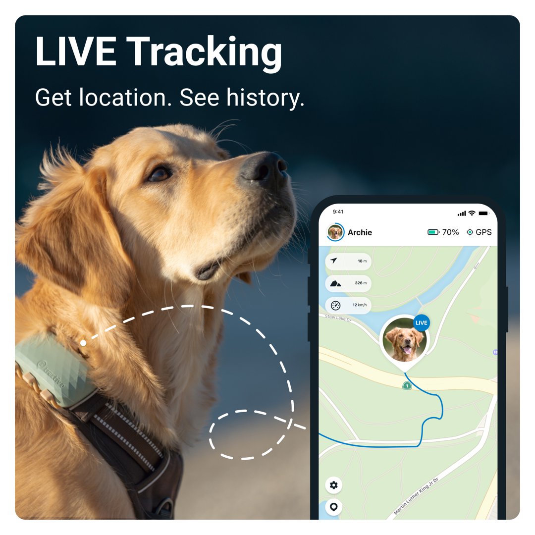 Tractive GPS XL - mynd 2