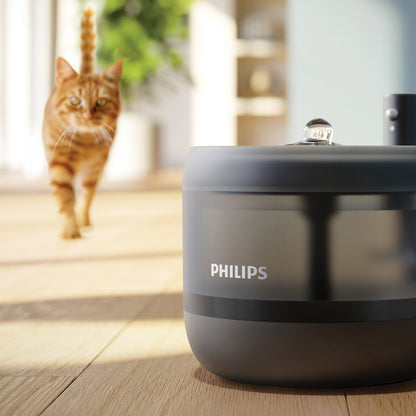 Philips vatnsbrunnur - mynd 3