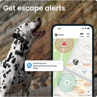 Tractive GPS svart - mynd 3
