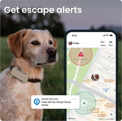 Tractive GPS brúnt - mynd 3