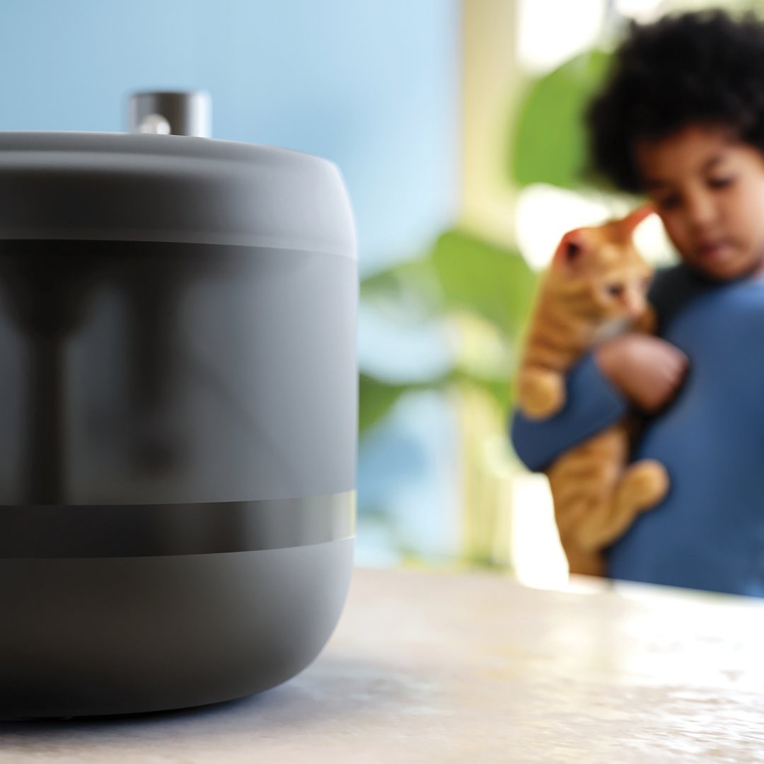 Philips vatnsbrunnur - mynd 4