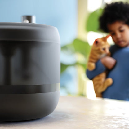 Philips vatnsbrunnur - mynd 4