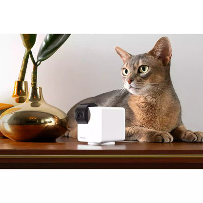 Petcube Cam 360 - mynd 4