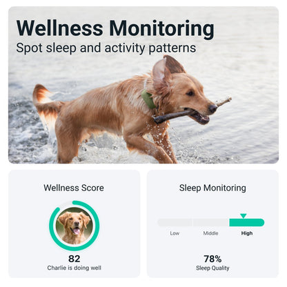 Tractive GPS XL - mynd 5
